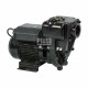 Насос для перекачування дизельного палива 220В 300-550л / хв Е300 Piusi F00321000 (Італія)